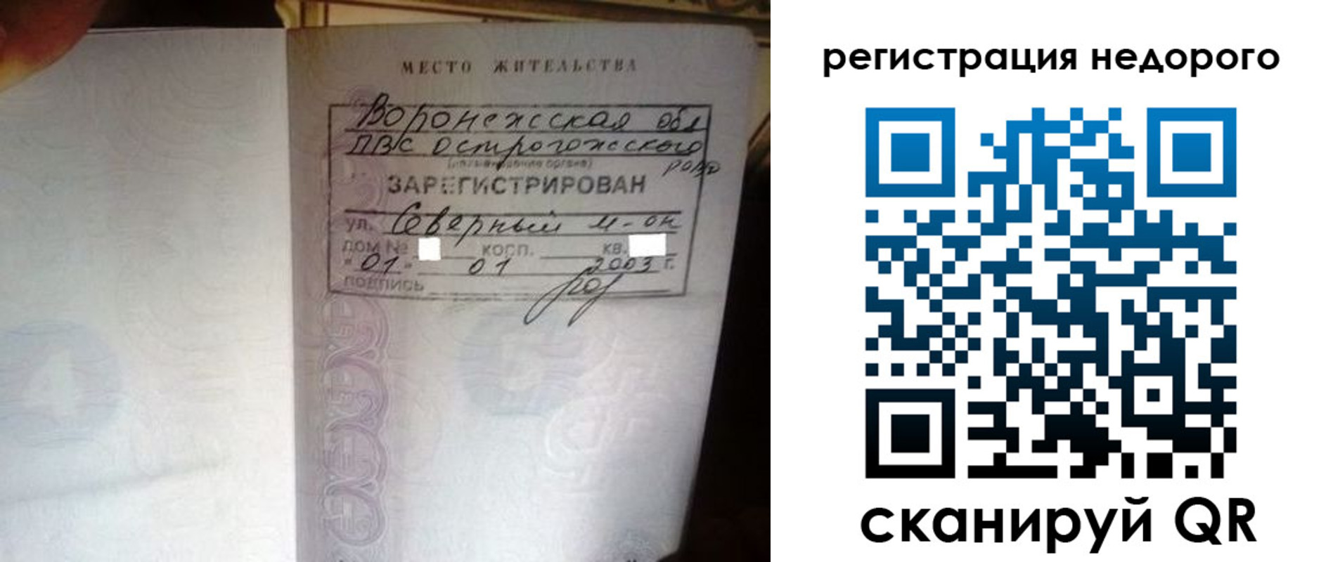 прописка для школы в Кольчугино