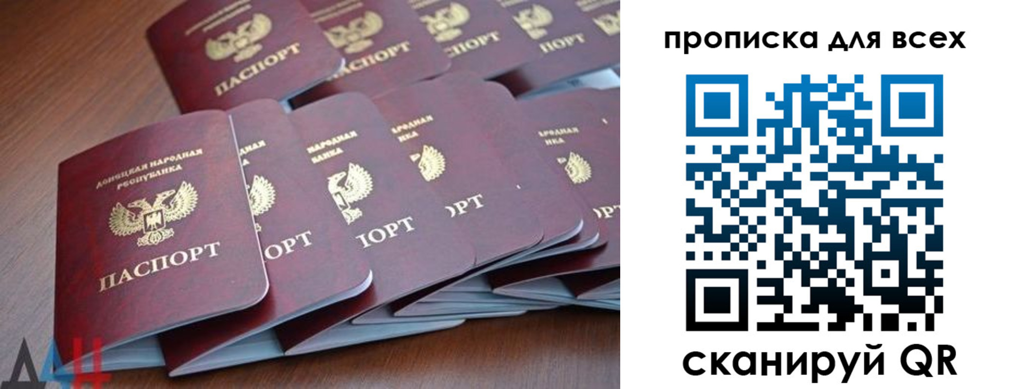 прописка в Кольчугино